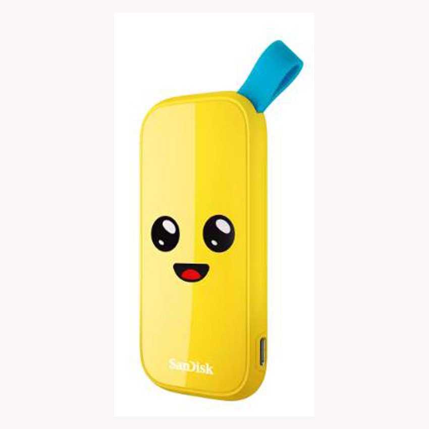 SDSSDE30-2T00-G25F