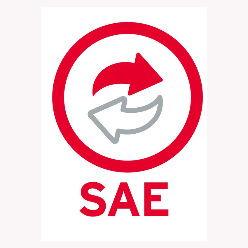 PSAEL2N