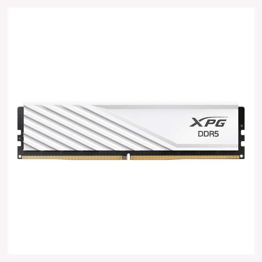 AX5U5600C4616G-SLABWH