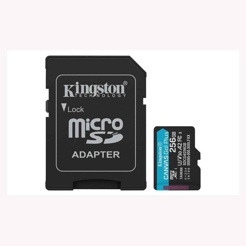 SDCG4/256GB