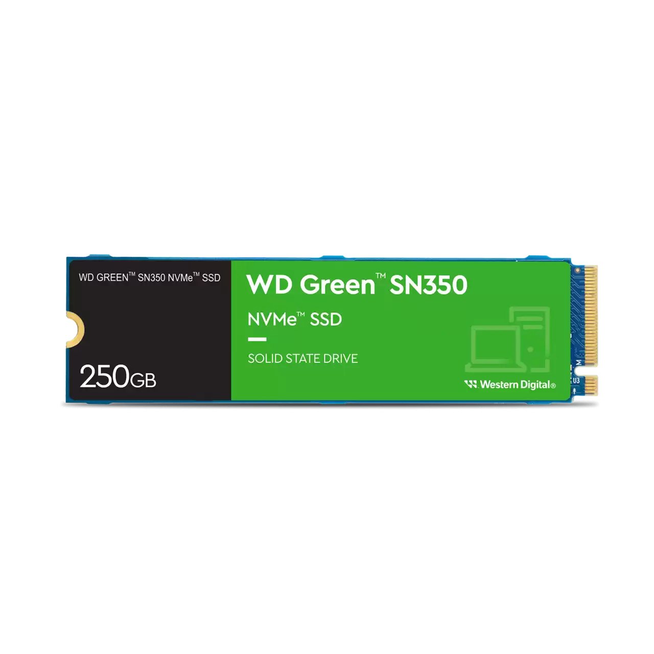 WDS250G2G0C