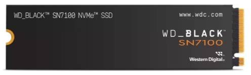 WDS100T4X0E