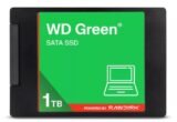 WDS100T5G0A