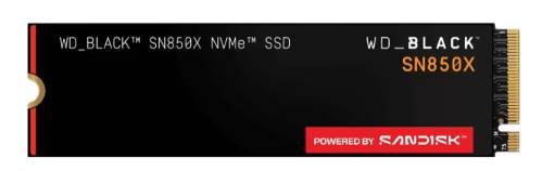 WDS100T2X0E