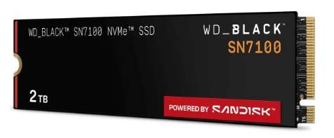 WDS200T4X0E