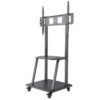 Soporte Universal para TV  MANHATTAN 461665 - 37 pulgadas, 100 pulgadas, TV