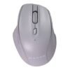Naceb Mouse Inal Dual Mode 2.4G+Bt Gris Na-0139G -